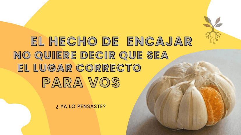 Zona de confort